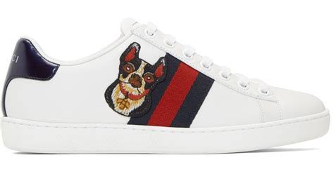 gucci ace dog